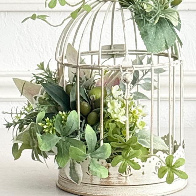 Green in the Cage｜アンティーク鳥かごのボタニカルアレンジ | 4枚目